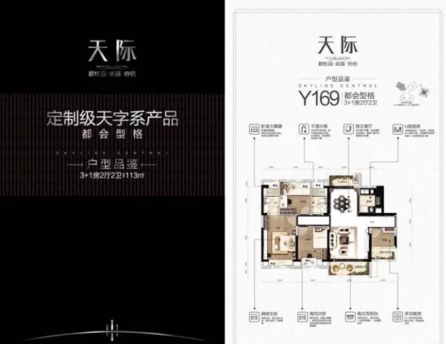 碧桂园卓越协信天际